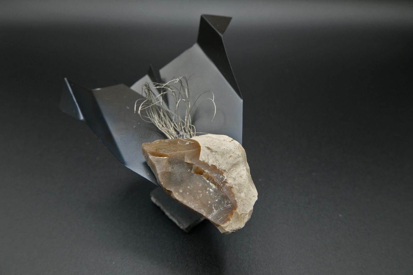 Exposición "Verosímiles Inverosímiles, la naturaleza fantástica de Manuela Sanz"