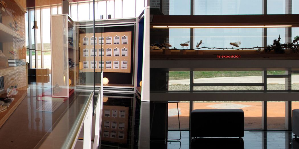 Vitrinas del bichiario de la exposición "Verosímiles Inverosímiles"