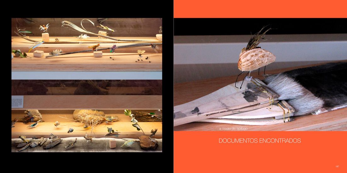 Detalles del bichiario de la exposición "Verosímiles Inverosímiles"