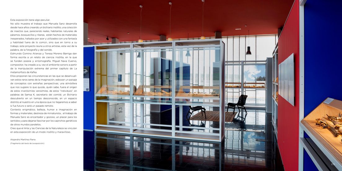 Exposición "Verosímiles Inverosímiles" de Manuela Sanz