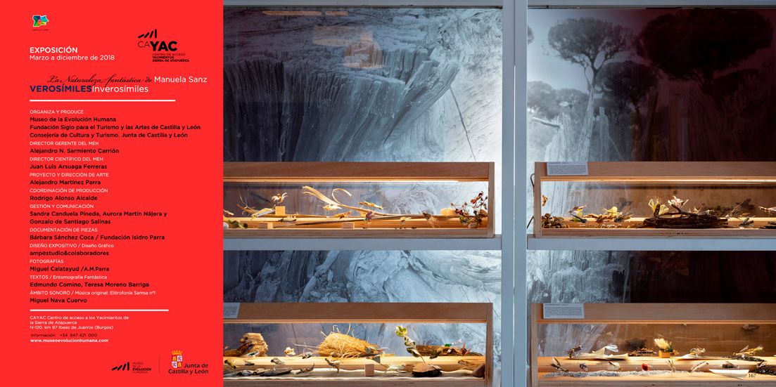 Vitrinas del bichiario de la exposición "Verosímiles Inverosímiles"