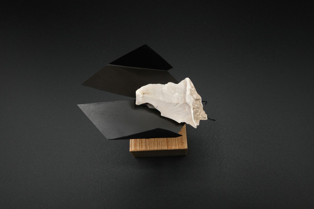 Exposición "Verosímiles Inverosímiles, la naturaleza fantástica de Manuela Sanz"