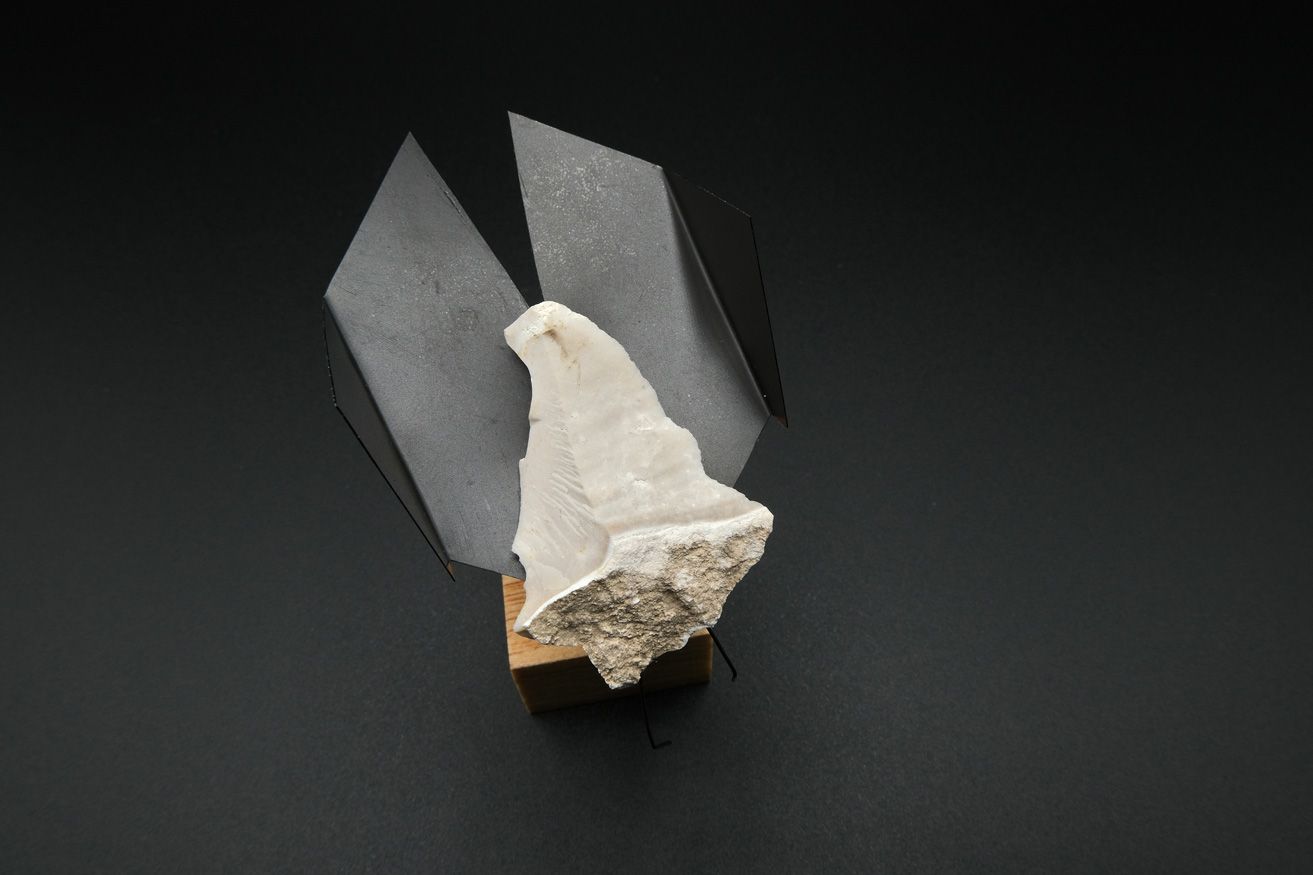 Exposición "Verosímiles Inverosímiles, la naturaleza fantástica de Manuela Sanz"