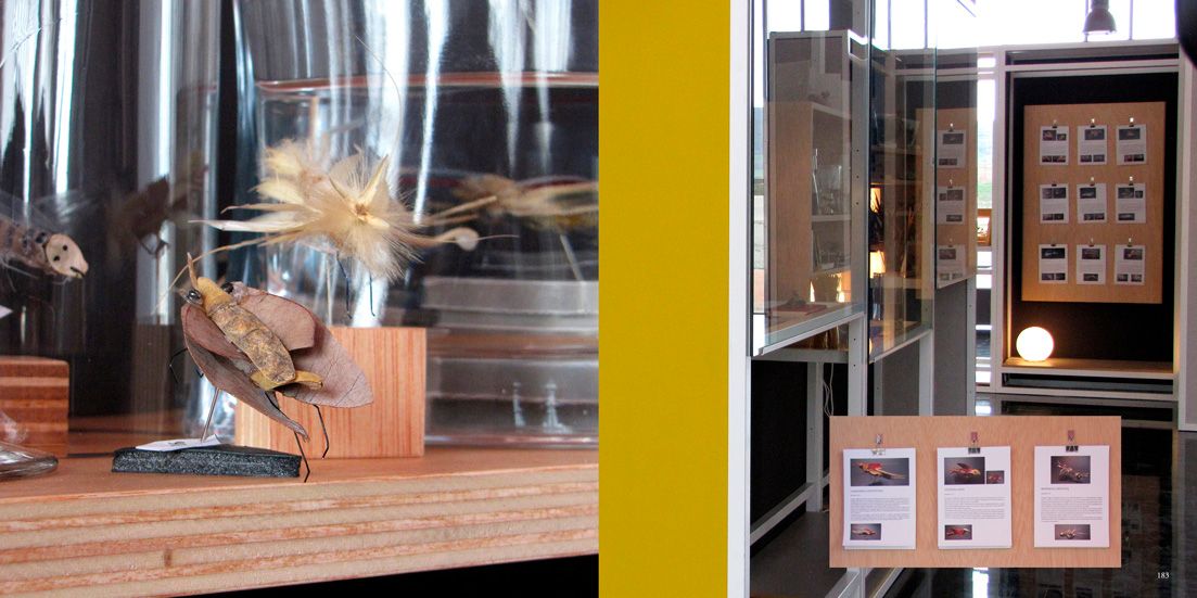 Detalle del bichiario de la exposición "Verosímiles Inverosímiles"